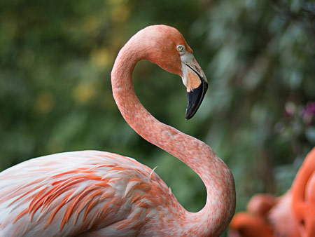 Zoo Foto