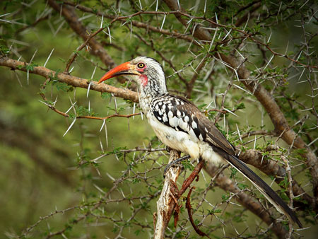 Zoo Foto