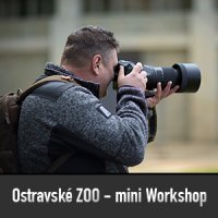 Fotografie