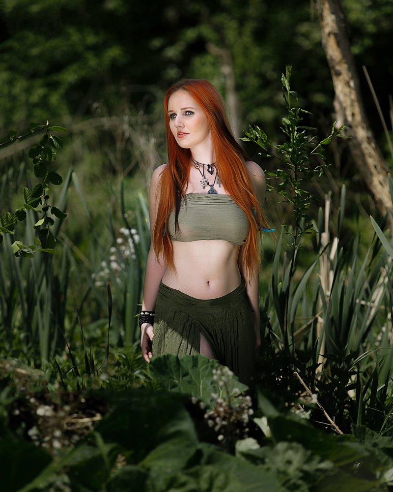 Nikol