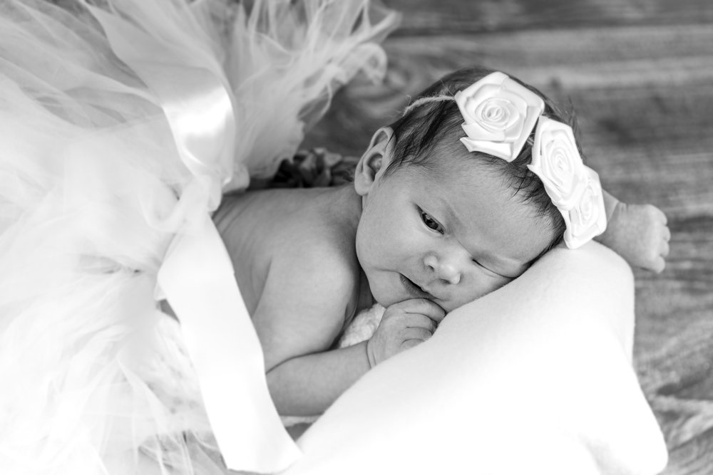Newborn